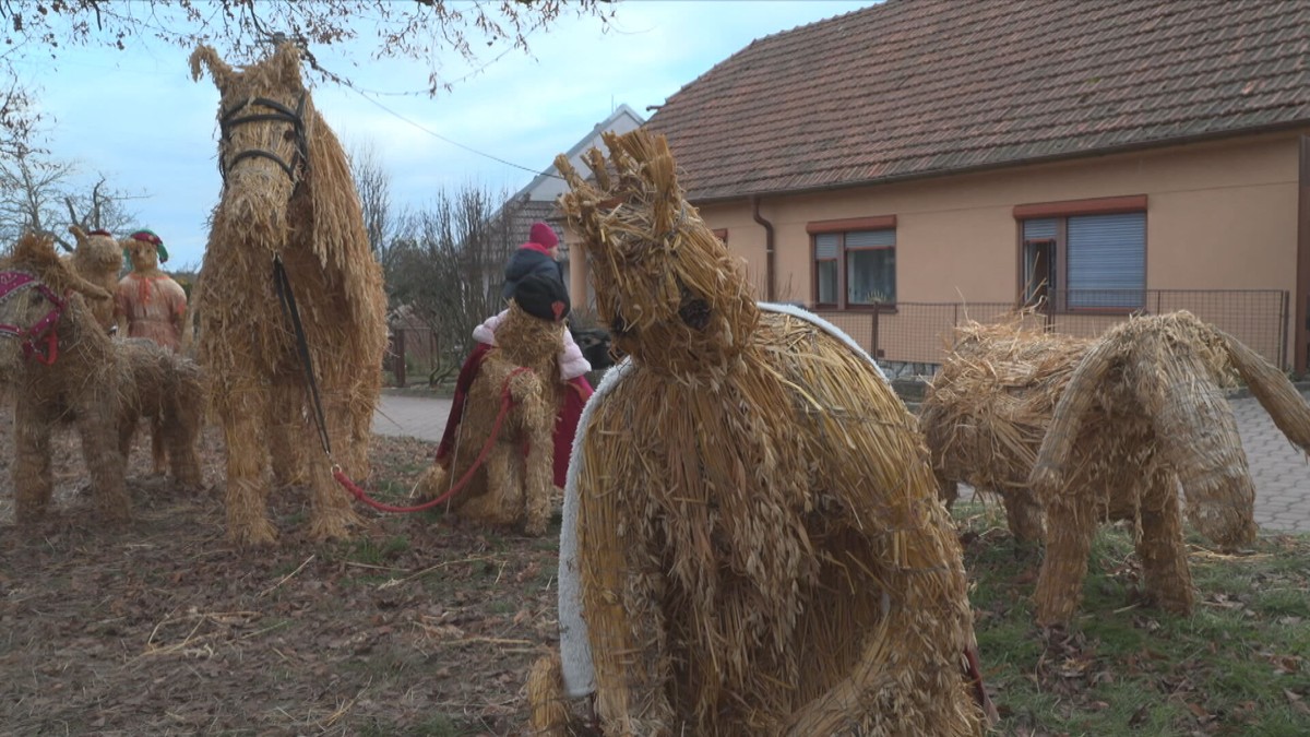 V Pozořicích opět stojí unikátní slámový betlém. Zapsaný je i v knize  rekordů