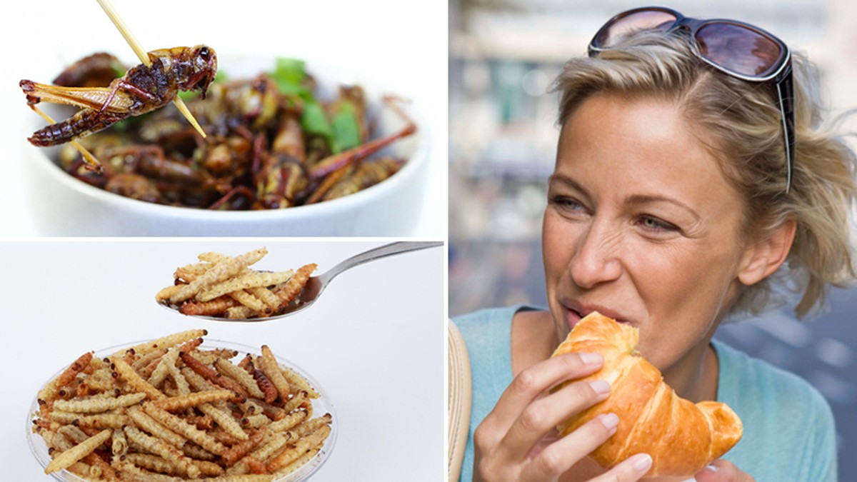 Cvrčci v chlebu? Možná součást budoucích evropských jídelníčků TN.cz