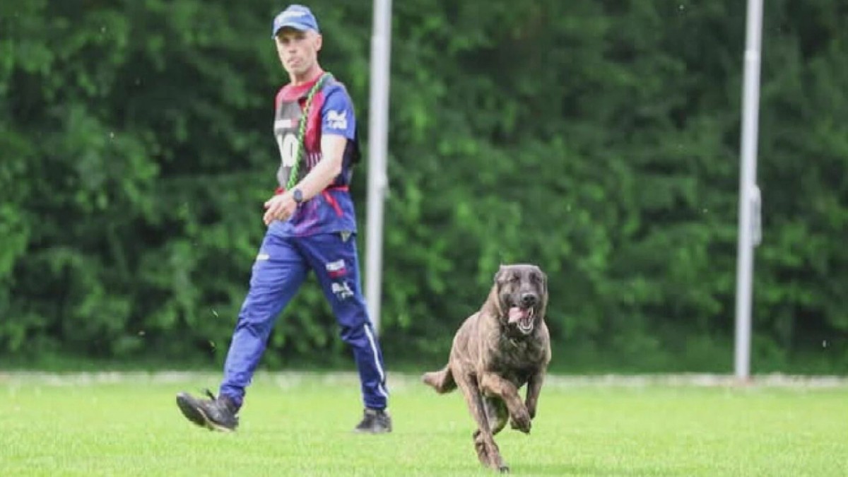 Pes Cherokee je mistr světa. Slouží u pražské policie