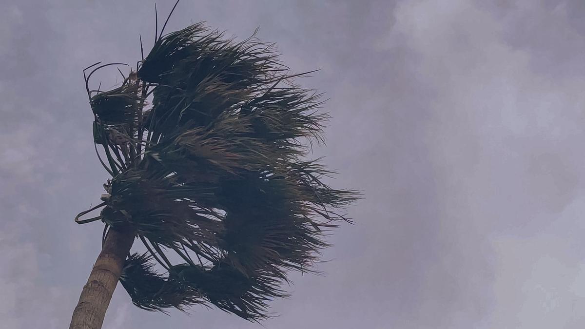 Typhoon Dolphin Hits Japan and China: Mass Evacuations and Flight Cancellations