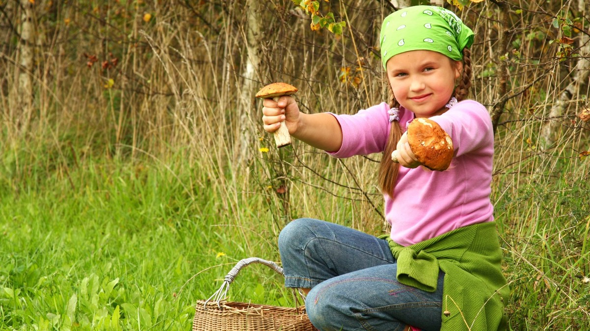 Девочка в лесу собирала грибы. Дети собирают ягоды. Девушка с корзинкой грибы. Девочка с корзинкой с грибами. Дети собирают грибы.