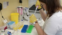 Český den proti rakovině: Imunoterapie se posouvá do prvních linií léčby, říká lékařka