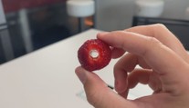 Jak se zbavit otravných stopek z jahod? Stačí vám k tomu brčko
