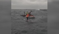 VIDEO: Kosatka vyskočila vedle surfaře! Chtěla si hrát, nebo lovila?