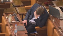 Hnutí ANO chce ve Sněmovně řešit údajnou korupci. Jde jim o politické body, říká Pehe