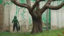 VIDEO: Toto dílo obletělo svět. S uřezaným stromem si Banksy poradil po svém