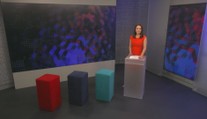 Premiér Babiš na Demografickém summitu v Budapešti