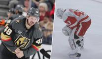 Momenty týdne v NHL: Vzdušný ťukes v podání Blues a zranění Češi