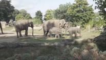 ZOO Praha slaví narozeniny