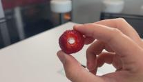 Jak se zbavit otravných stopek z jahod? Stačí vám k tomu brčko