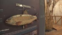 Vodní dům u Želivky nabízí bohatou expozici. Vodu tu můžete slyšet i ochutnat