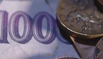 Ekonom Hradil: Inflace by měla být největší v letních měsících