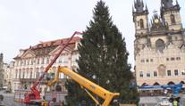 Zdobení vánočního stromu na Staroměstském náměstí