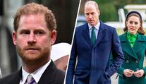Harry a Meghan reagují na kritiku arogantně, Kate s Williamem takoví nejsou, říká novinářka
