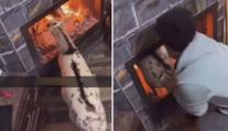 VIDEO: Koza sebevrahem? Zvíře skákalo do ohně, údajně kvůli bacilům