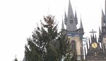 Na Staroměstském náměstí už stojí strom. Rozsvítí ho v sobotu