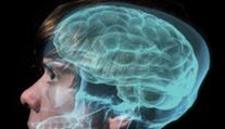 Mozek se při tréninku mění. V některých obdobích je ke změnám náchylnější, říká neurovědkyně