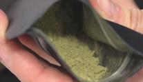 Poslanci před jednáním Sněmovny: Řešit se bude regulace kratomu, ANO chce odchod Rakušana