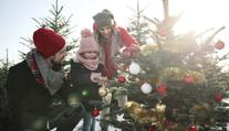 Bílé Vánoce? Letos budou zřejmě na blátě, říká meteoroložka