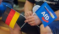 V německých zemských volbách uspěla krajně pravicová AfD