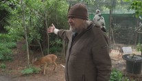 Záchrannou stanici v Brně zachvátil požár. Lidé poslali přes dva miliony