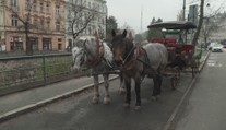 Tradiční jízdy v kočárech čeká změna. Karlovy Vary pro ně mění podmínky