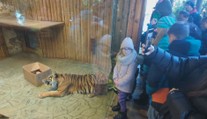 Štědrý den v zoo: Zvířata dostala speciální vánoční pochoutky