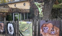 Uprchlá kobra se ve švédské zoo raději po týdnu sama vrátila do terária