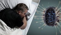 Jsme na pokraji smrtící epidemie, varují zdravotníci! Šíří se mor