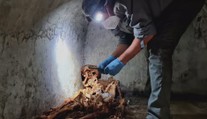 Vlasy a část ucha. V italských Pompejích objevili neobvykle zachovalou kostru