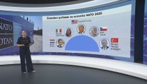 Role členů delegace na summitu NATO nejsou jasné. Pomoci může minulá praxe
