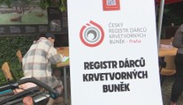 Madlenka (2) stále hledá dárce. V zoo se jich do registru přihlásily desítky
