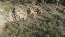 Česká krajina nezadržuje vodu. Odborníci kvůli tomu chtějí zavést opatření