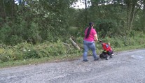 Na děti ze školky spadl vzrostlý strom. Dvě jsou ve vážném stavu