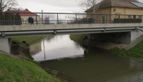 Matka se pokusila zabít své děti. Vězení se ale nejspíš vyhne