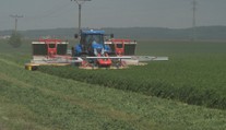 Těžké stroje zemědělců zabíjí tisíce zvířat ročně. Nová technologie tomu má zabránit