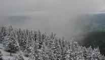 Jeseníky zasypal sníh. Ve zbytku Česka bude pršet a silně foukat, uvádí ČHMÚ