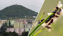 "Hoří!" báli se občané. Když přijeli hasiči, zjistili něco šokujícího
