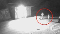 Narkomani z areálu firmy odnesli tunu mědi, kradli také naftu z kamionů