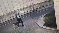 Pes pokousal dítě, muž utekl. "Krvácí z krku," volal svědek na 158! ZÁZNAM