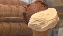 Ideová nebo tradiční? Před volbami zuří zmrzlinová válka. ANKETA