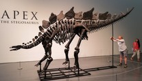 Nejdražší kostra dinosaura na světě vyšla kupce v aukci na miliardu