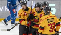 Bizár v hokejové LM: Týmu nepřiletěly hokejky a kupoval nové. Přesto vyhrál