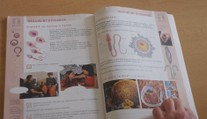 Organizace vzdělává děti o sexu. Učí je, jak vypadá souhlas i znásilnění