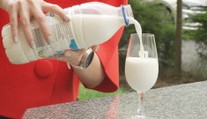 Ceny mléka dál padají. Zemědělci ale bijí na poplach