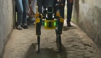 Tady hlídám já! Antické město Pompeje má strážit robotický pes