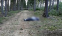 Přebral mu ženu, tak ho vylákal na procházku do lesa a ubodal