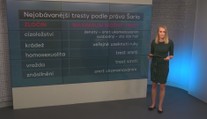 Slovo, které nahání hrůzu. Co šaría opravdu znamená? PŘEHLED