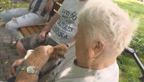 Netradiční terapie pro seniory. Nejlepšími přáteli jsou jim slepice a kohouti