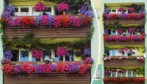 Nejhezčí balkóny v Česku! Dům v Havířově obdivuje celé město